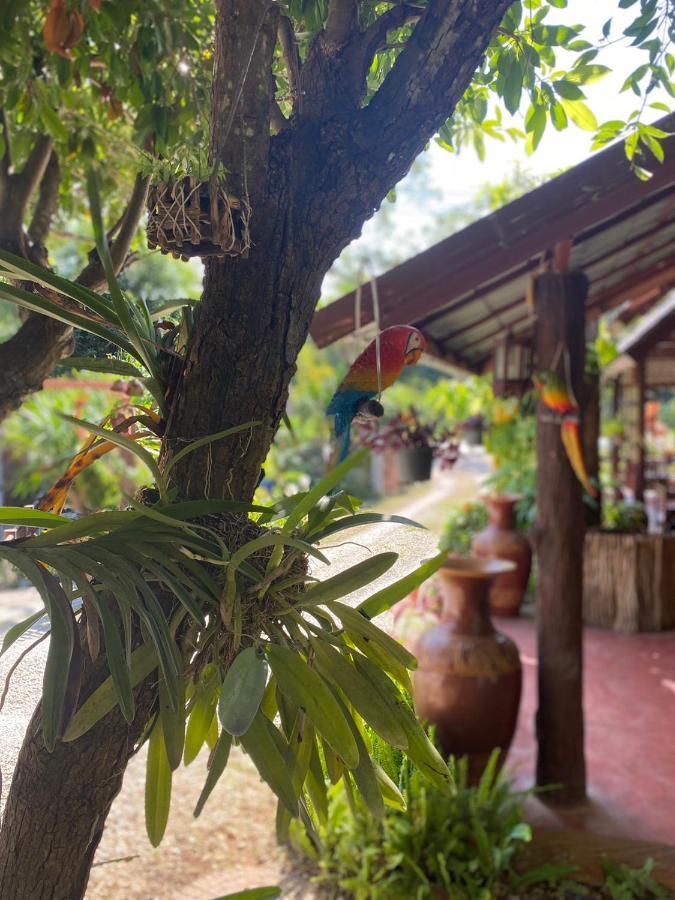 นพรัตน์การ์เด้นฮิลล์ Hotel Uthai Thani Exterior foto